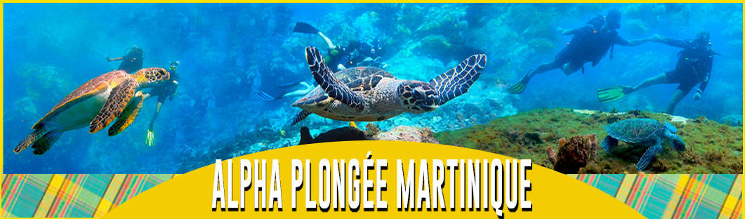 ALPHA PLONGEE MARTINIQUE