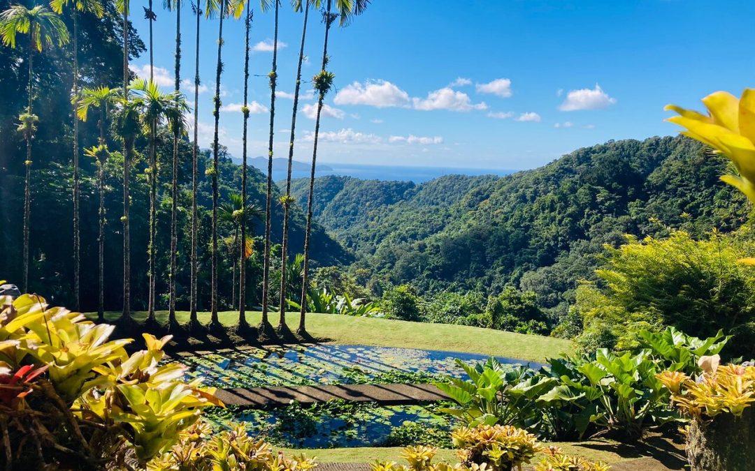 Les jardins de BALATA