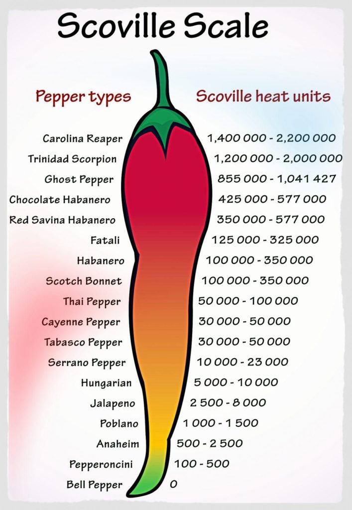 Echelle-des-piments