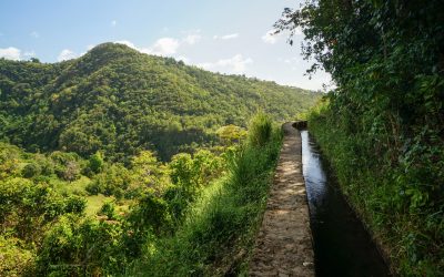 Les Plus Belles Randonnées en Martinique