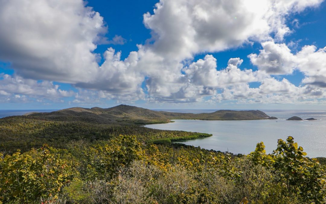 Le château Dubuc et la presqu’île de la Caravelle : Un voyage au cœur de l’histoire et de la nature de la Martinique