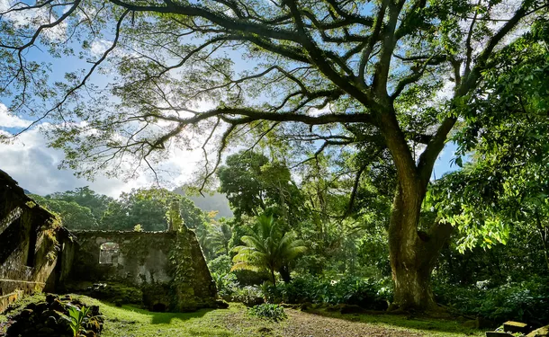 Habitation Céron